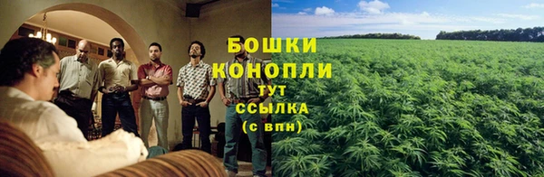 каннабис Аркадак