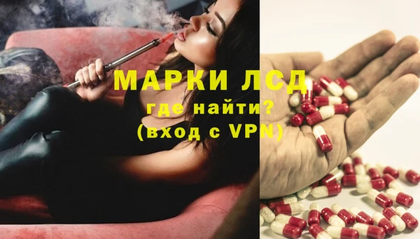 каннабис Аркадак