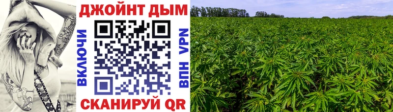 МАРИХУАНА гибрид  Багратионовск 